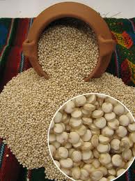 喬布斯傳翻譯筆記：喬布斯的父親飲食哲學(xué)