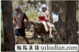 奇思妙想:以色列推出驢背上的Wi-Fi