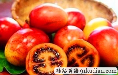 你聞所未聞見所未見的8大水果