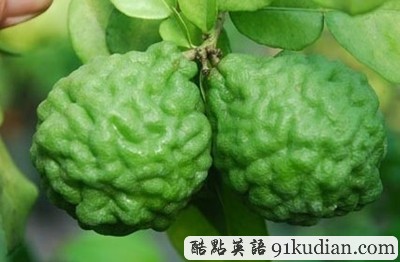 你聞所未聞見(jiàn)所未見(jiàn)的8大水果