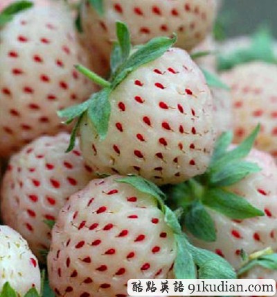 你聞所未聞見(jiàn)所未見(jiàn)的8大水果