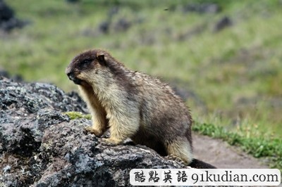 環(huán)球之旅:邀你同行共賞美麗火山風景(上)