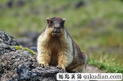 環(huán)球之旅:邀你同行共賞美麗火山風(fēng)景(上)