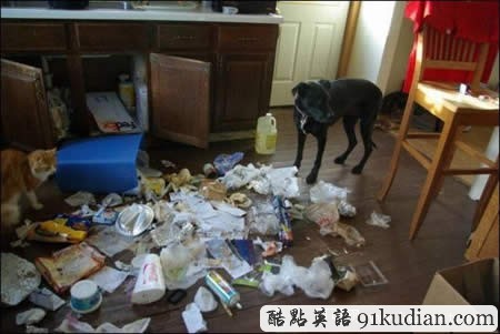 你的可愛寵物也曾這樣調(diào)皮搗蛋嗎?