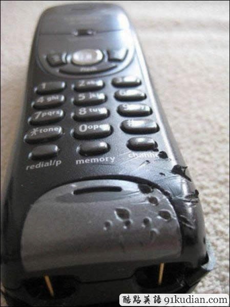 你的可愛寵物也曾這樣調(diào)皮搗蛋嗎?