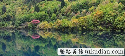 人間仙境:九寨溝秋季勝景欣賞