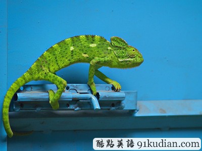 環(huán)球之旅:2012走遍全世界(4)之奇趣大自然