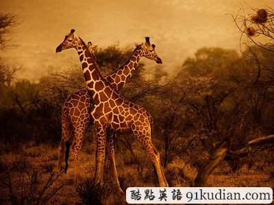 環(huán)球之旅:2012走遍全世界(4)之奇趣大自然