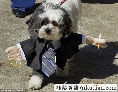 萬圣節(jié)狗狗巡游:奇裝異服狗狗大派對