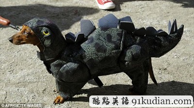 萬圣節(jié)狗狗巡游:奇裝異服狗狗大派對