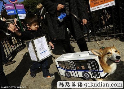 萬(wàn)圣節(jié)狗狗巡游:奇裝異服狗狗大派對(duì)