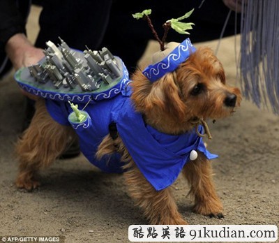 萬圣節(jié)狗狗巡游:奇裝異服狗狗大派對