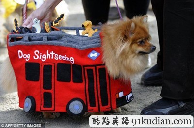 萬圣節(jié)狗狗巡游:奇裝異服狗狗大派對(duì)