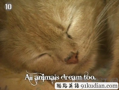 夢(mèng)境十大真相揭秘:你了解你的夢(mèng)嗎?