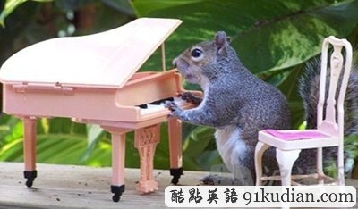 趣圖妙語(yǔ):松鼠兄弟的超萌造型