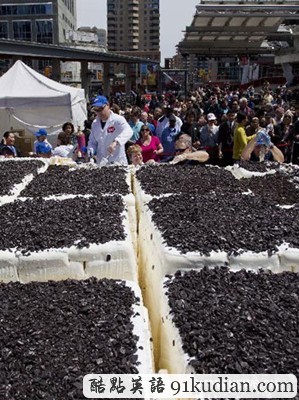 趣圖妙語:世界上最大的冰淇淋蛋糕