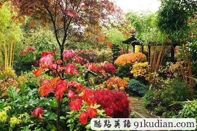 圖文欣賞:世外桃源般的夢(mèng)幻美景