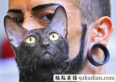 大千世界:比利時(shí)國(guó)際貓展