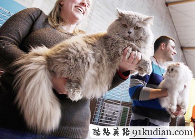 大千世界:比利時(shí)國(guó)際貓展