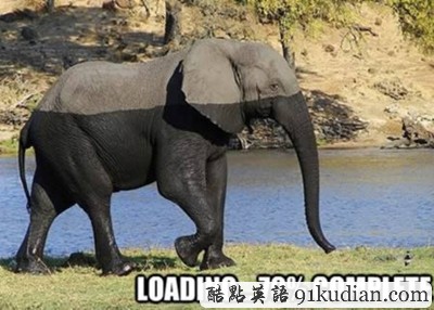 趣圖妙語(yǔ):都是視覺(jué)誤差惹的禍!(2)