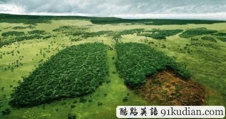 十張創(chuàng)意公益廣告值得我們反省自己