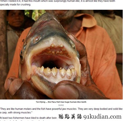 大千世界:英男子捕獲河中殺人巨怪