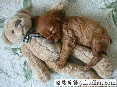 趣圖妙語:我和周公有個(gè)約會(huì)