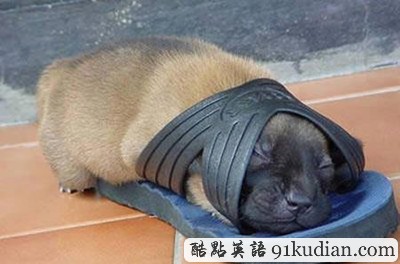 趣圖妙語:我和周公有個約會