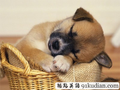 趣圖妙語(yǔ):我和周公有個(gè)約會(huì)