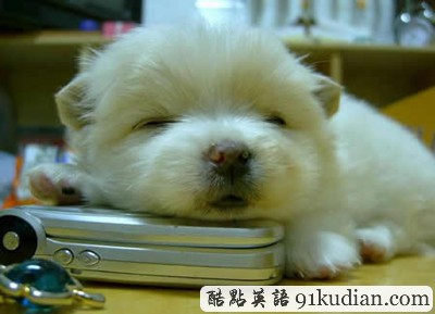 趣圖妙語:我和周公有個(gè)約會