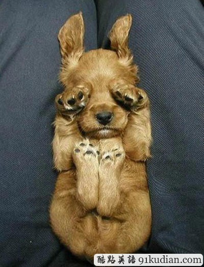 趣圖妙語(yǔ):我和周公有個(gè)約會(huì)