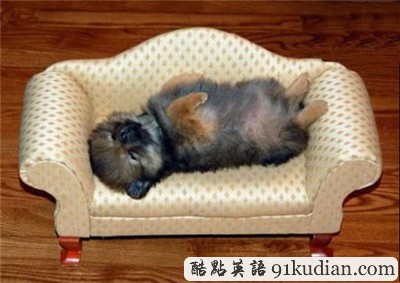 趣圖妙語(yǔ):我和周公有個(gè)約會(huì)