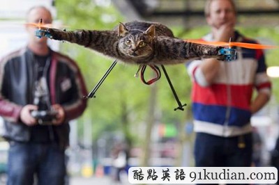 另類方法紀念愛寵:干尸貓咪直升飛機