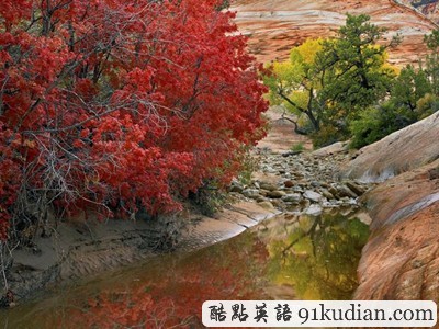 圖片畫廊:美不勝收的美國(guó)金秋