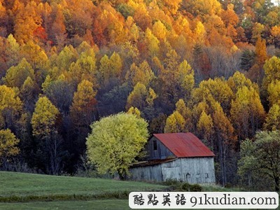 圖片畫廊:美不勝收的美國(guó)金秋