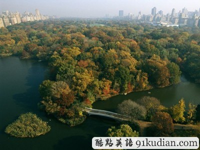 圖片畫廊:美不勝收的美國金秋