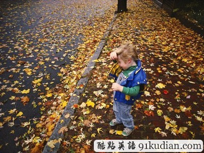 圖片畫廊:美不勝收的美國金秋