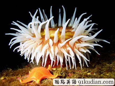 GJ地理:2011年度十佳自然圖片