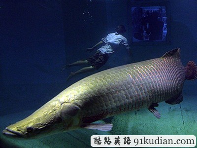 GJ地理:2011年度十佳自然圖片