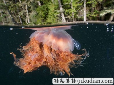 GJ地理:2011年度十佳自然圖片