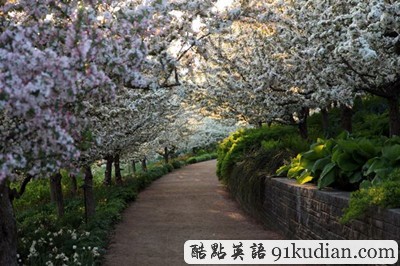 GJ地理:2011年度十佳自然圖片