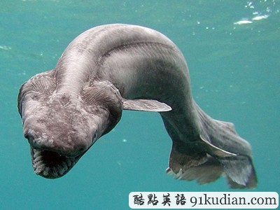 GJ地理:2011年度十佳自然圖片