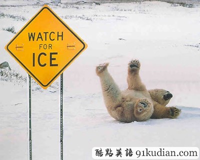 趣圖妙語:動物們的搞笑瞬間