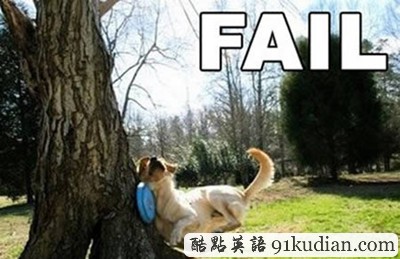 趣圖妙語:動物們的搞笑瞬間