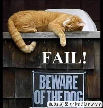 趣圖妙語:動物們的搞笑瞬間