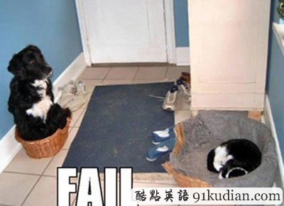 趣圖妙語:動物們的搞笑瞬間