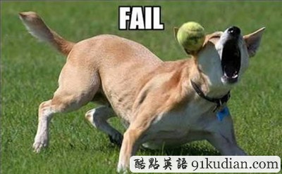 趣圖妙語:動物們的搞笑瞬間