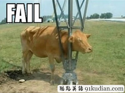 趣圖妙語:動物們的搞笑瞬間