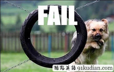 趣圖妙語:動物們的搞笑瞬間