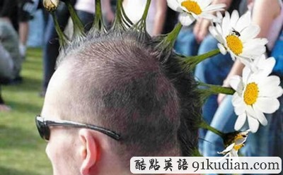 趣圖妙語:吐血發(fā)型大集結(jié)